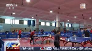 乒乓球台力学知识点汇总